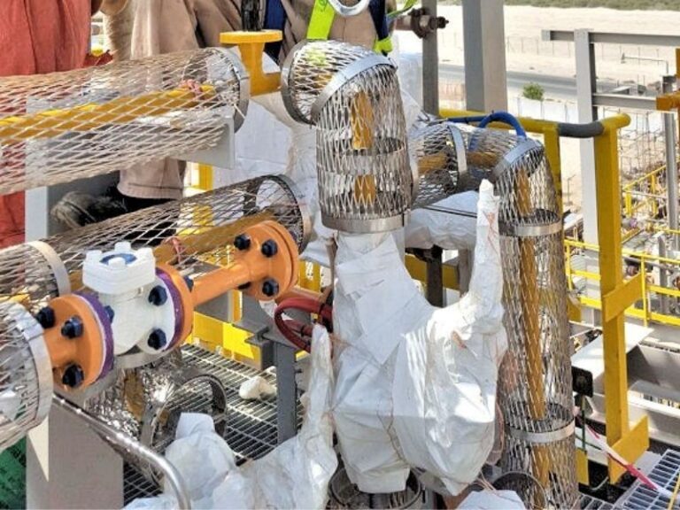 Long Term Preservation Packing Services