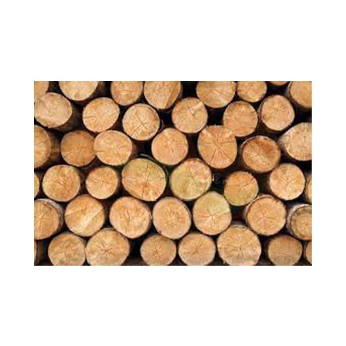 Soft/White Wood Timber Logs